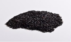 Riz « Nerone » biologique – 500 g