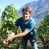 Pinot noir de Venthône 2019 - 75 cl - AOC Valais