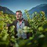 Eole de Charrat 2012 - Biodynamisch - AOC Wallis
