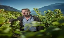 DIOLINOIR 2018 Biodynamic - AOC Valais