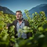 Pinot Noir 2018 Biodynamic - AOC Valais