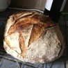 Triticale/ Ancient wheat - Organic Flour - 1 kg