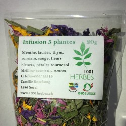 Infusion 5 plantes Bio – 20 g