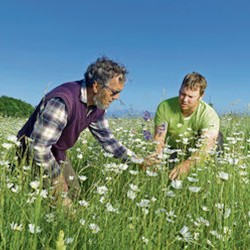 Bio Samenmischung für Salate - 150 g