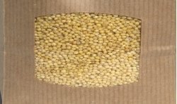 Organic Millet Seeds (Risotto) - 400 g