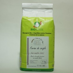 Roggen - Bio Mehl (600) - 1 kg