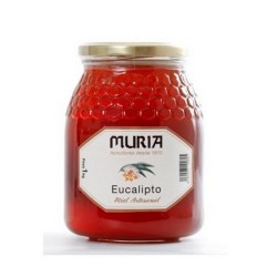 High Quality Eucalyptus Honey - 1 kg