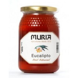 Miel Eucalyptus de haute qualité – 500 g