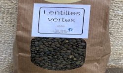 Grüne Linsen bio - 400 g