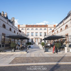 DOM. PICARD Grand Cru (Extra brut) – Magnum