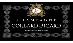 DOM. PICARD Grand Cru (Extra brut) – Magnum