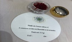 Safran de la Rippe (VD) - 0.3 gr