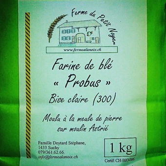 #agriculturebiologique #agroécologie #blesanciens #audelàdubio #semis #semoir #blés #blésbio #farinelocale #farine #agriculturesanspesticides #solsvivants #oldwheat #froment #winteriscoming #circuitcourt #painaulevain #meuledepierre